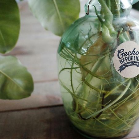 Gecko Republic Jungle Hostel Ко Тао Екстериор снимка